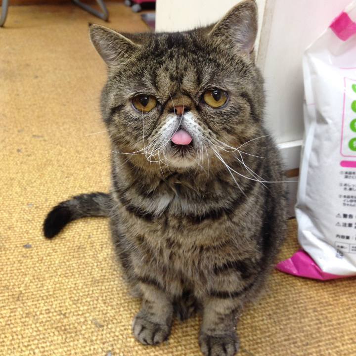 4901b707 c109 432a 9366 3b34a895de9e 1544240586414