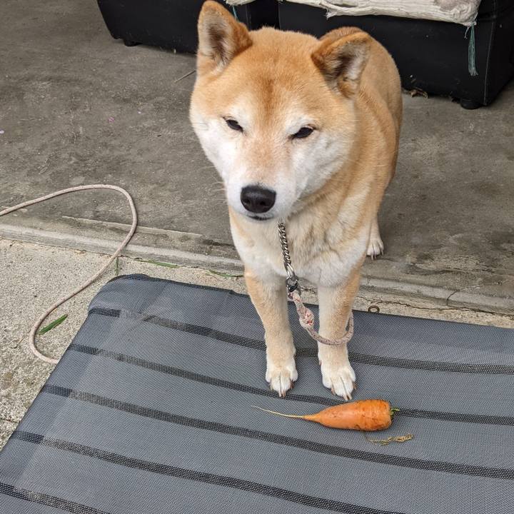 4901c66b bd32 4ed3 a3f4 500b72512312 1650258716611