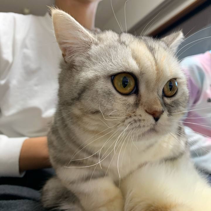 4901e2b5 a65d 4290 bfd9 af6234b358d0 1705390722295