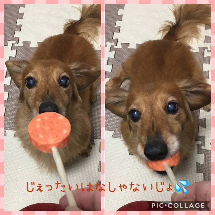 490244de 184d 4427 a39c f8936efc524e 1585317235596