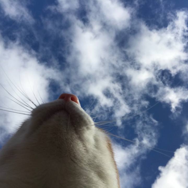 490261e8 2bff 420f 8a21 66cf41c6e80a 1515893596653