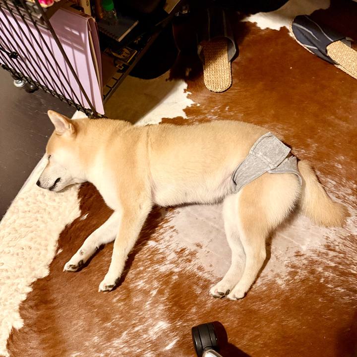 49027a89 e699 4d97 9099 8f2fa64087c2 1764209758369