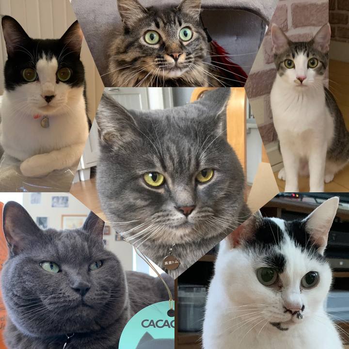 49028684 3f3b 429d 9d5b 761172621f52 1699706547038