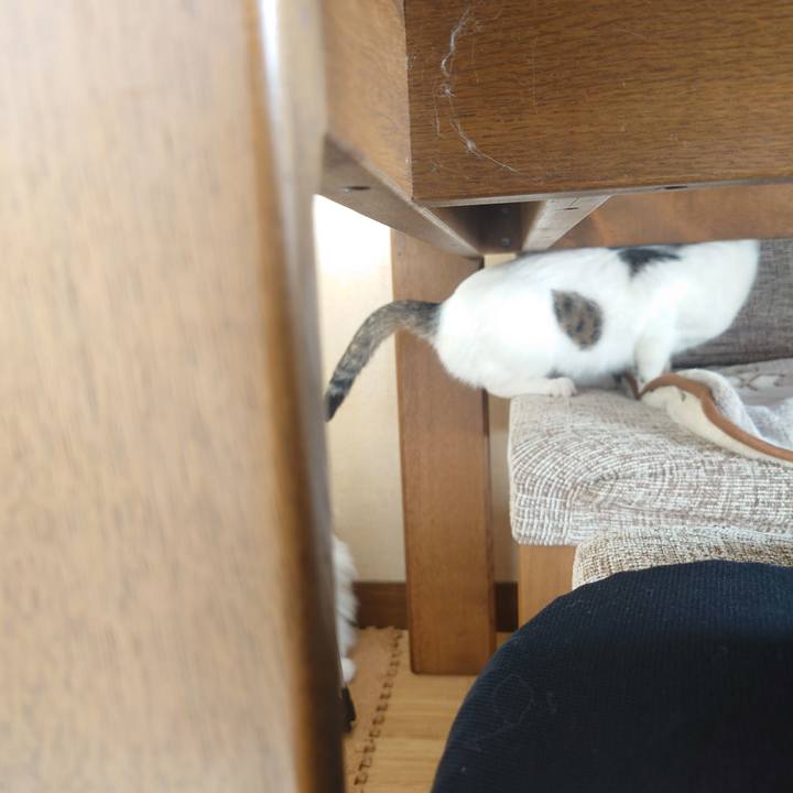 4902b667 76d1 4df8 a008 31c257521985 1696656426033