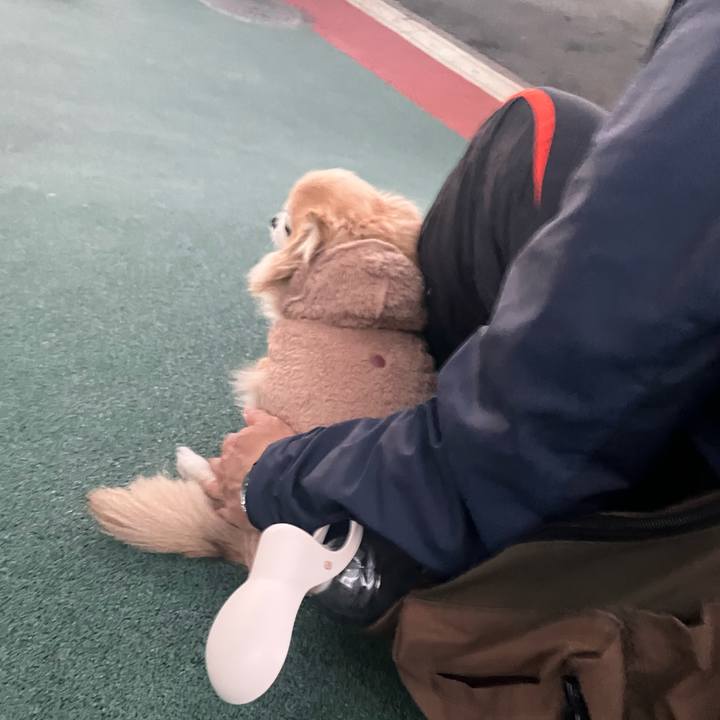 4902bb0f 6729 4cd5 bae0 6c40db54795b 1765782892959