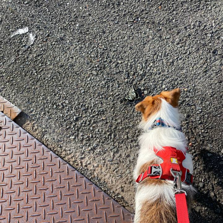 4902bfa9 b349 4a51 9dbb 019e76690d9d 1660862705554