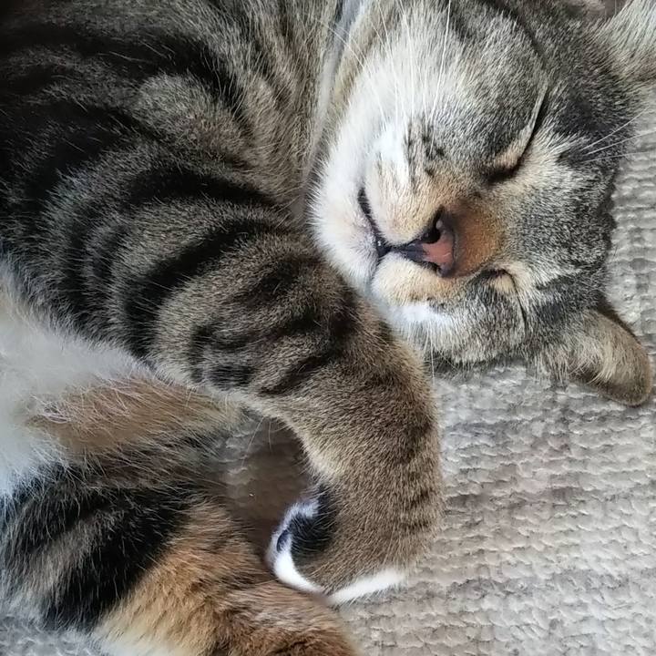 4902cc71 bf57 4302 9636 c30485970e52 1623704595611