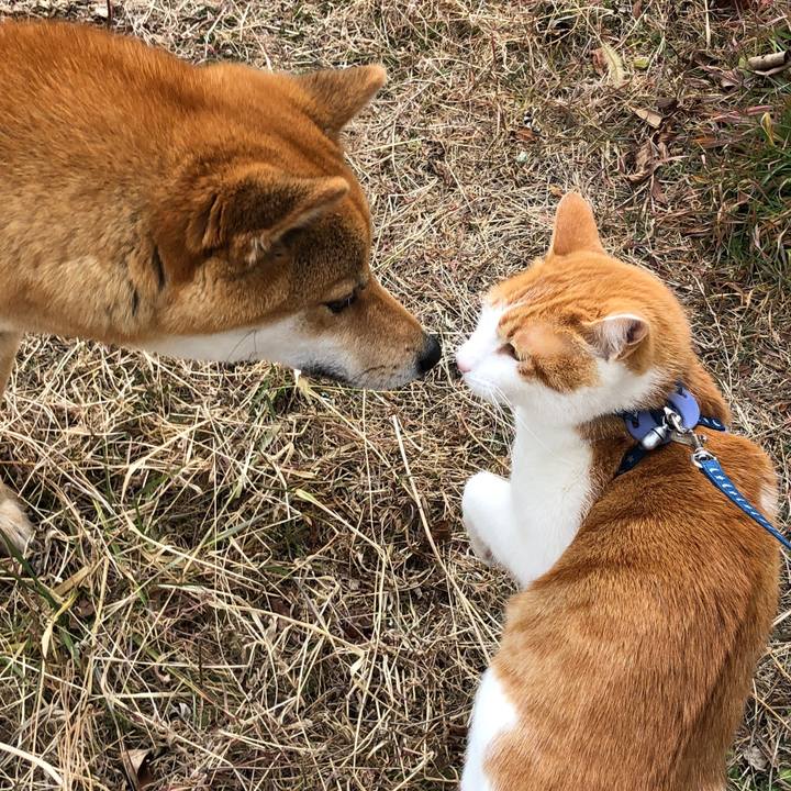 4902ce62 0cc9 4c00 9bb6 8d57ec7e738a 1550388311793