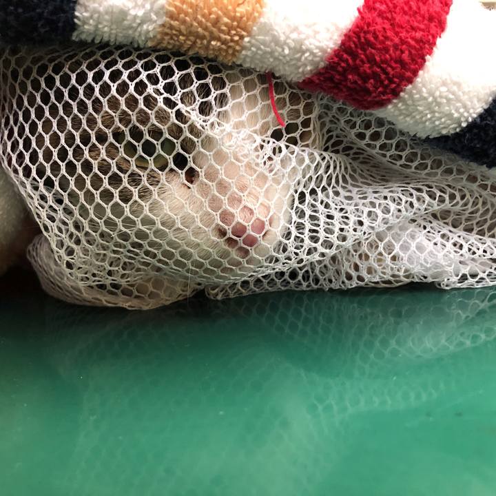 4902e504 52ea 4d9d 988c d544609e9d49 1570002558614