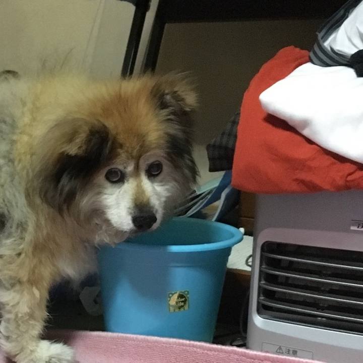 49030486 0201 4ffc 951c 41561501a58a 1576804464090