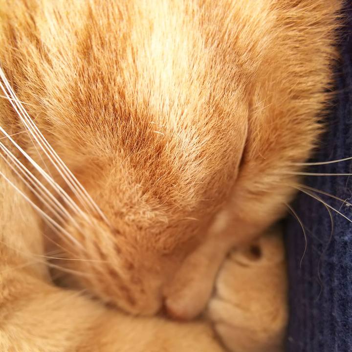 49030b75 4f4c 4b21 94ff 9c512c7f3fe7 1586649466924