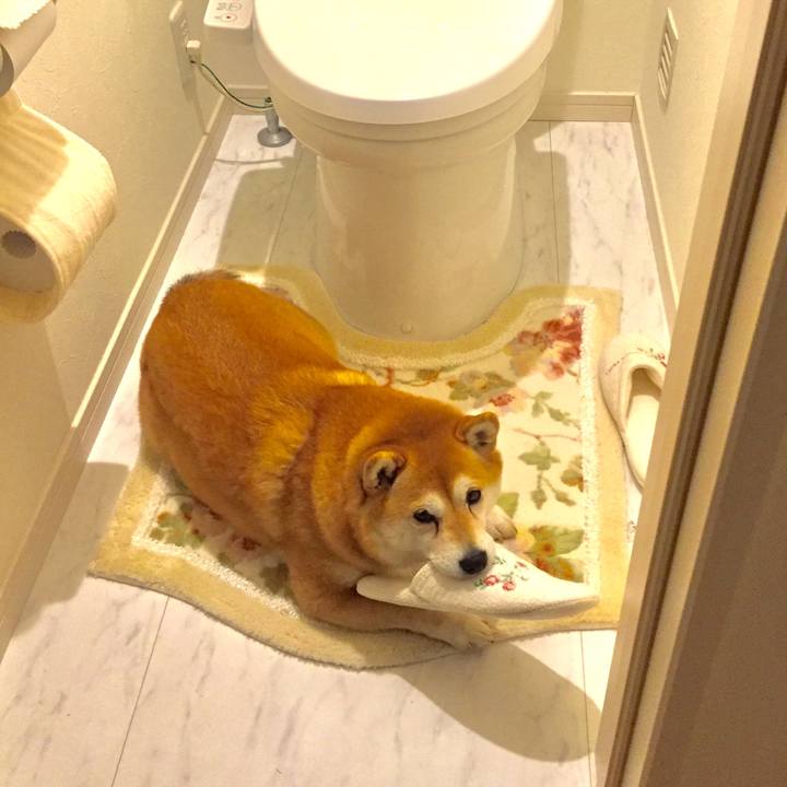 49030c30 9f22 4f27 aa6e 9fc8e83e3f6c 1583615701839