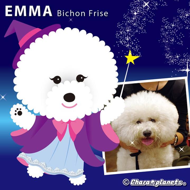 49036c28 d821 49fe 8ed3 767b384b712e 1559702108115