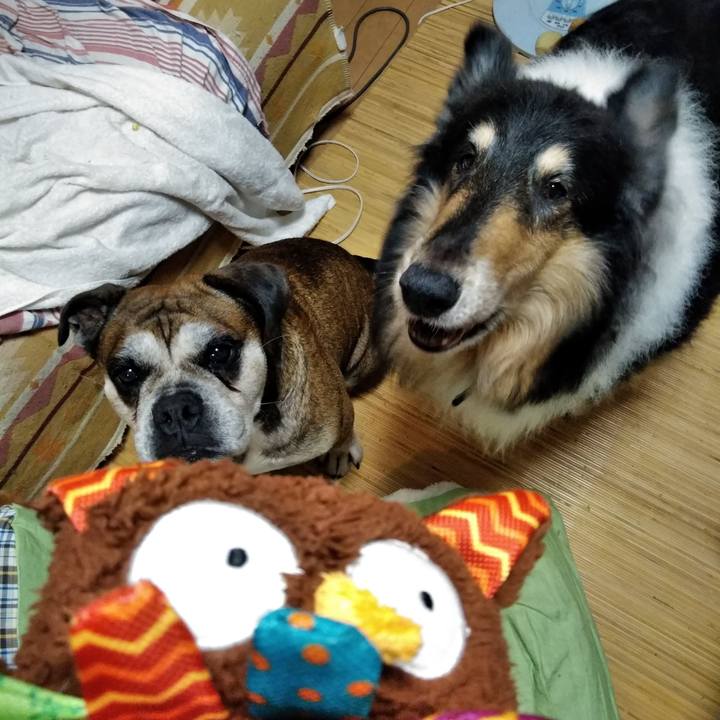 4903713b 2b2e 44da bf01 f26cdf15ba11 1532958002467