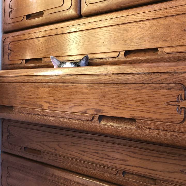 490381d1 82ac 4750 a6f9 568974163052 1592209822238