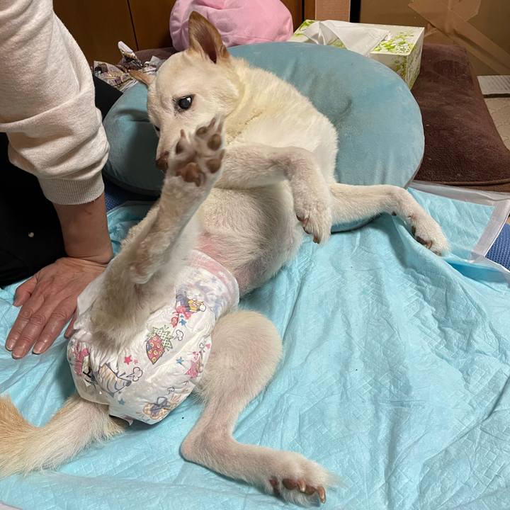 4903e479 2a2d 40d8 8c65 388d5b540ed5 1667565890429