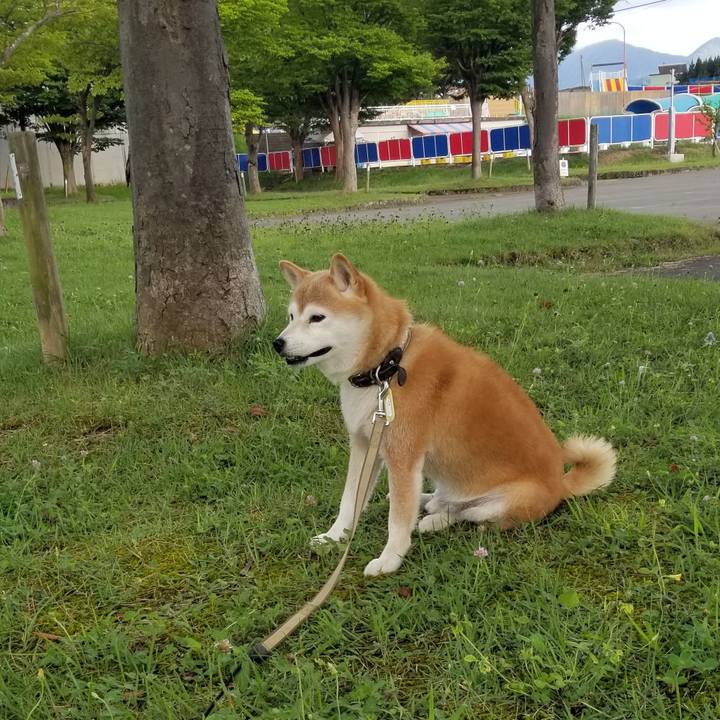 490401e3 f5f2 4595 b8e5 dc82775deacc 1660810215440