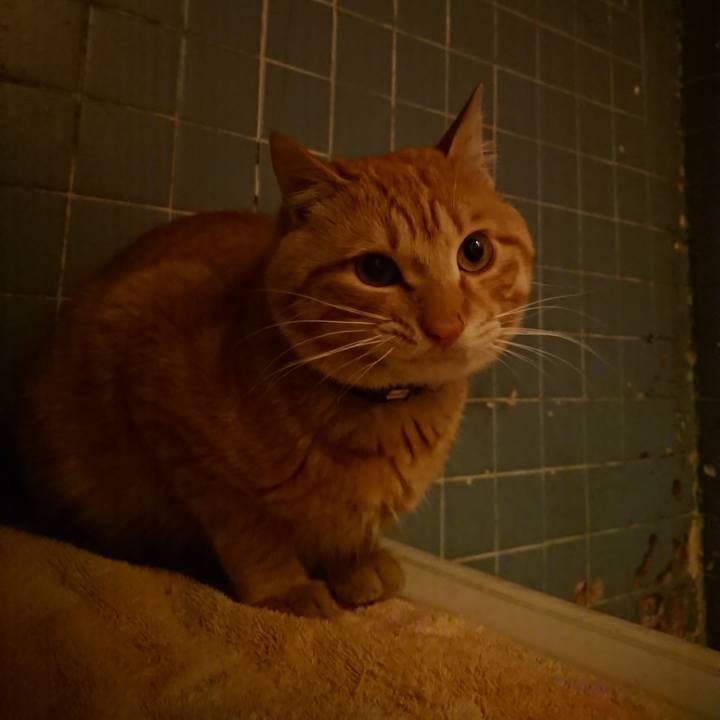 49041ee9 b407 454e 88d3 d77ca725d86a 1647426629873