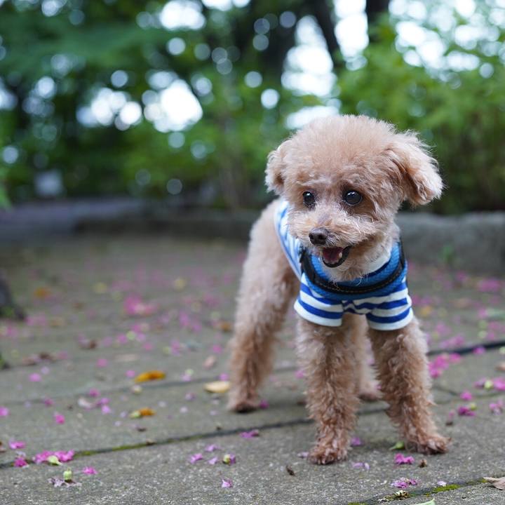 49042d61 bdb2 43f9 b26a 8b1e4dbb52ad 1665298897362