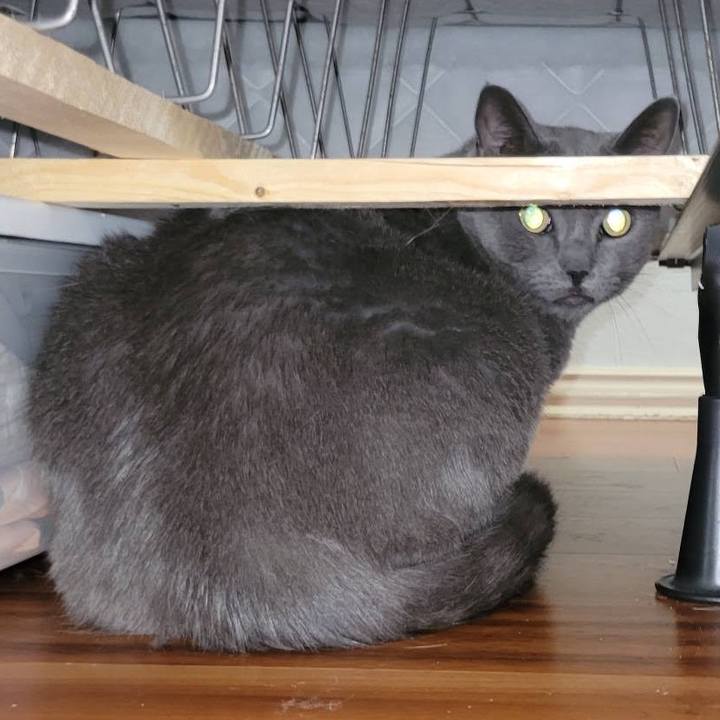 49049760 9376 45bf a704 d9e0bfe8eddf 1743909042445