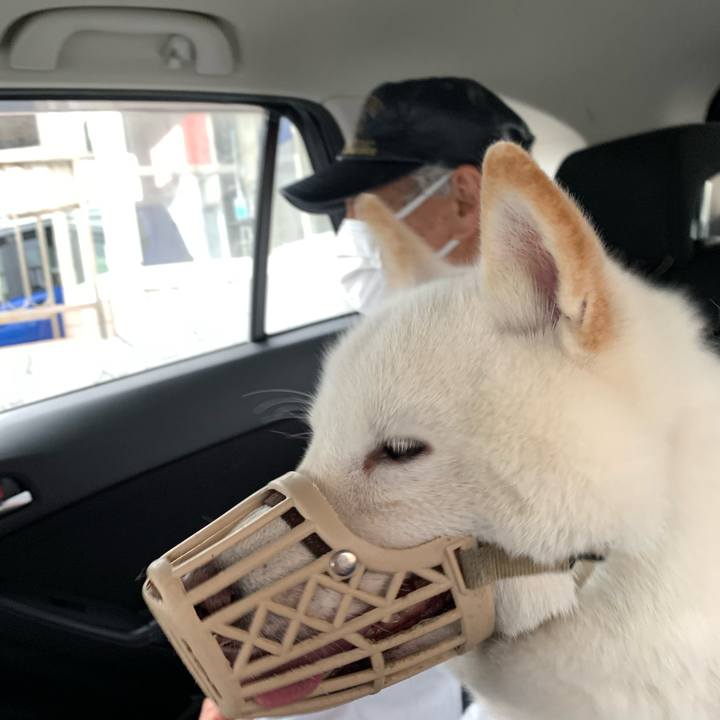 4904d97b 8681 4f7f a670 0e068b84836f 1653705008843