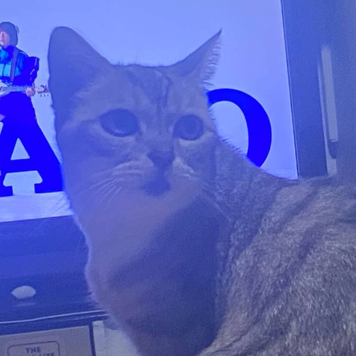 4904ffb5 1e20 4def b872 6b56bf8e99a8 1729343480982