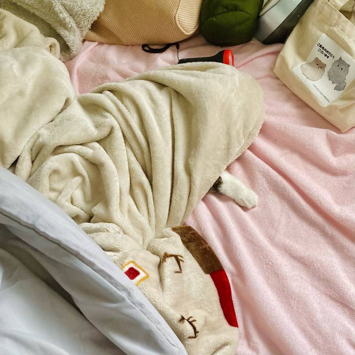 490546d7 b219 412a be96 7bbee2b9df11 1700436869560