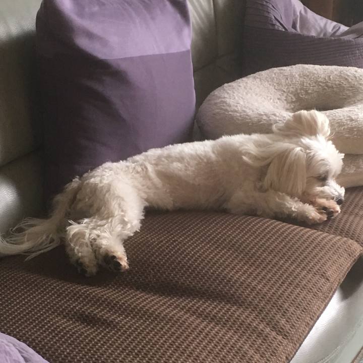 490562b4 c706 4eab b2ef 44f58f9b03c9 1528168433241