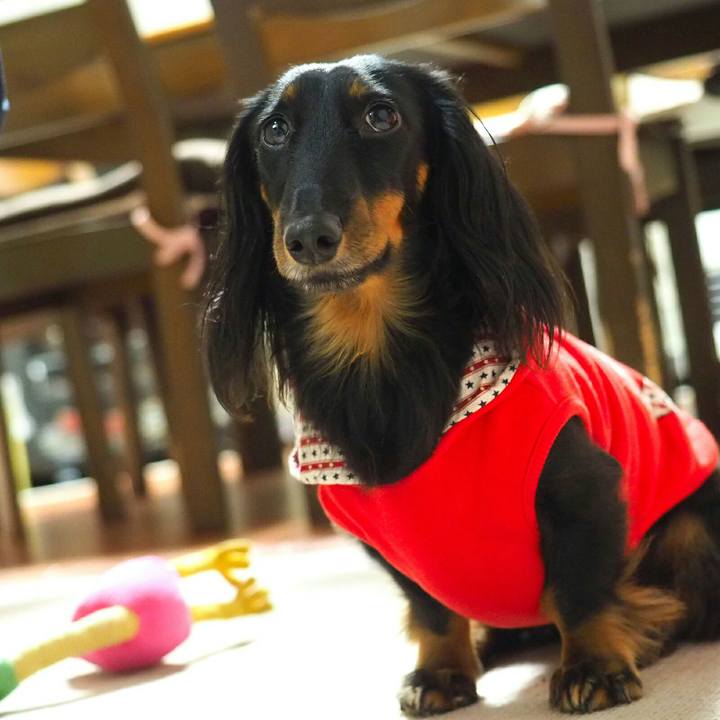 49057b01 de59 4036 a120 3789a23e5c37 1510967603495