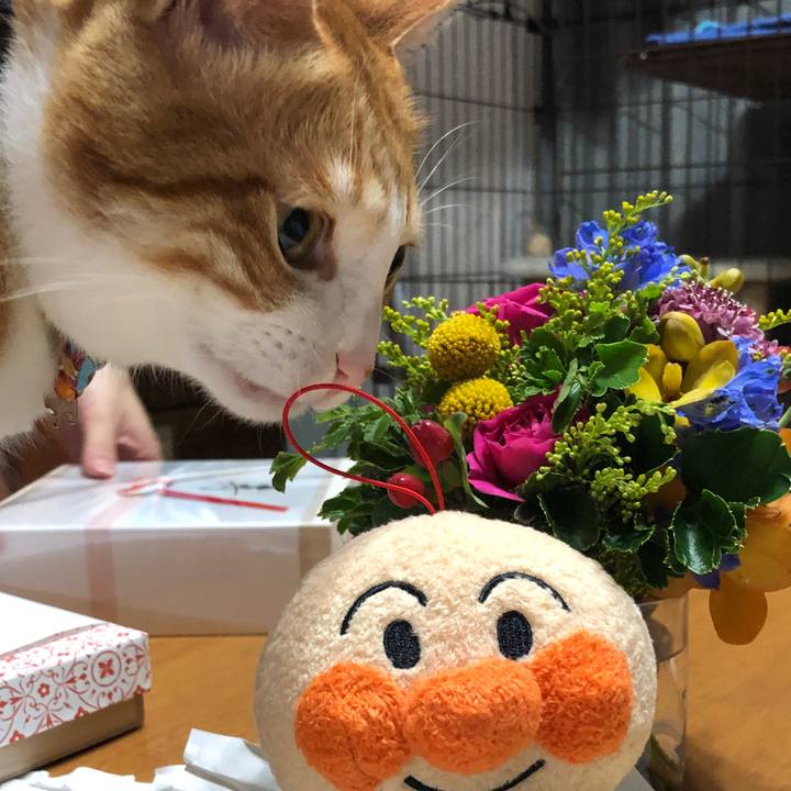 4905a5c4 72d1 409a 96a5 f9d3a08a34a3 1563246958534