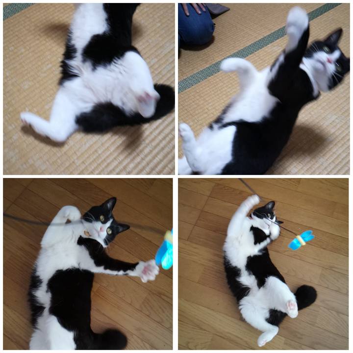 4905c8dd 05a7 47e5 b985 9b9a552fcf88 1576504787205