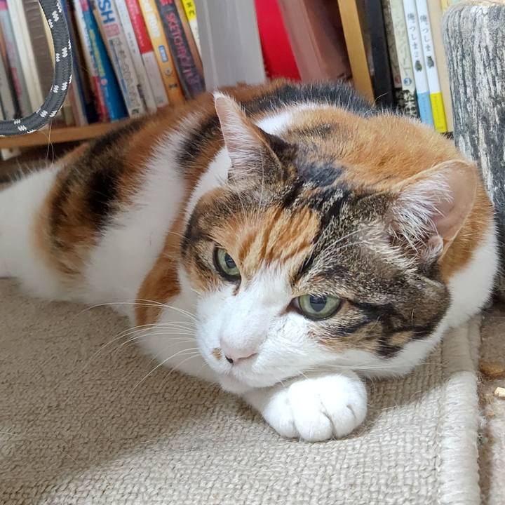 4905f4f8 04ce 41ac 80c7 8b46c4c0c773 1597748536688