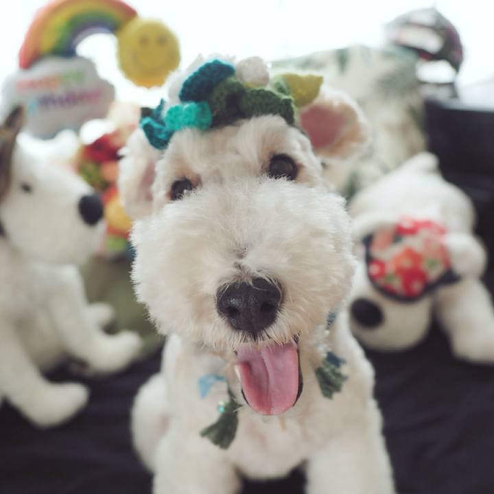 4905f5f1 40b4 4fb6 b24f 54afe7c8d3c8 1537145407368