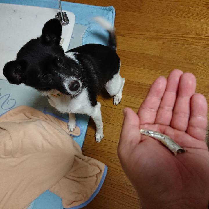 4906423c 5479 4dad bf8c c9d0751e863f 1541330744971