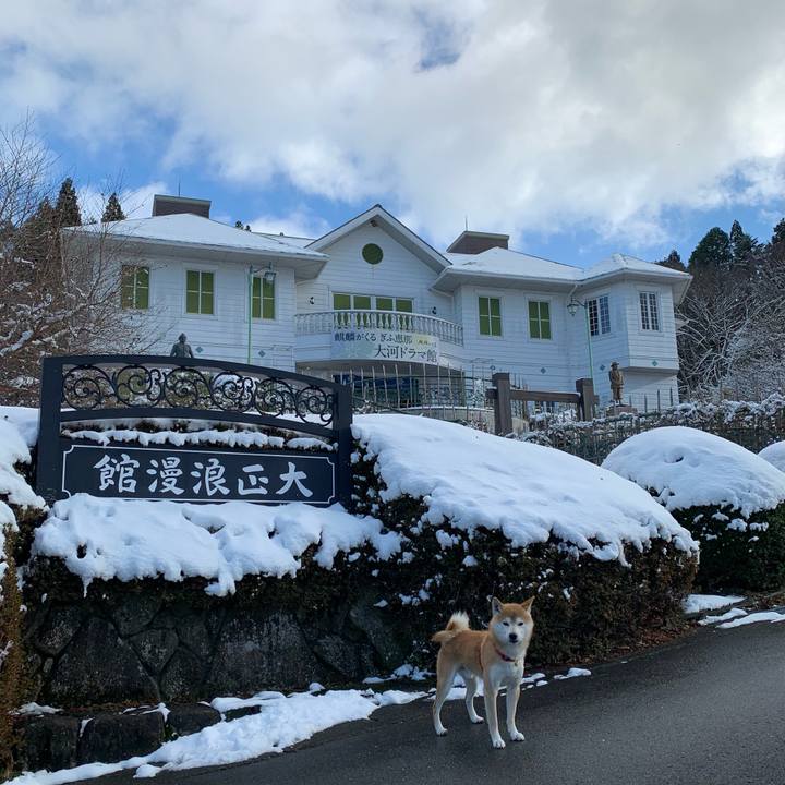 490675d1 e1a2 4c02 9aef ec8d92b2240e 1608195553102