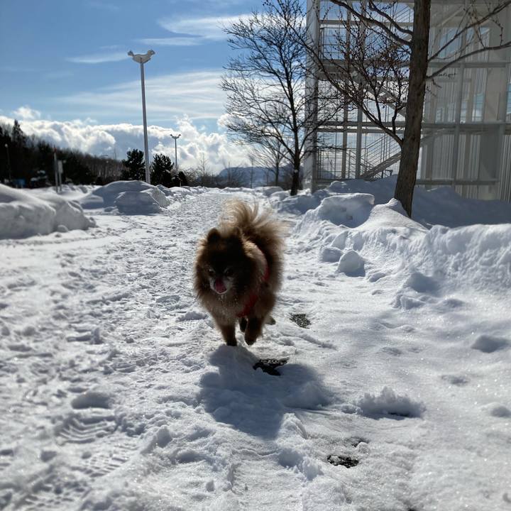 4906873a 88d2 495a 86fb 837ede1d343a 1644120222861