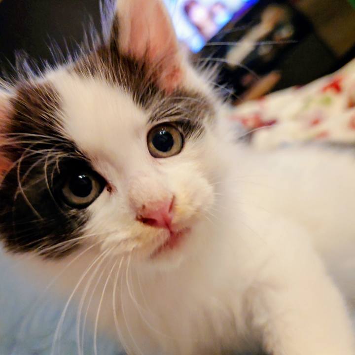 4906a2b1 3a0c 4270 ac29 d634d553b45e 1758194407926