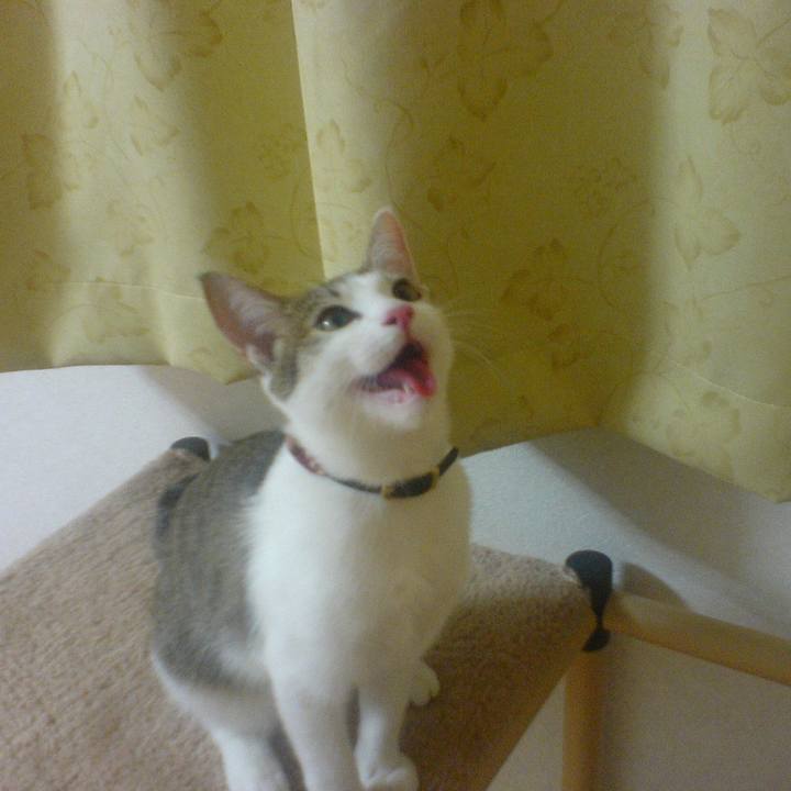 4906b15d 9447 4d6d 9a80 3b751e9acf57 1706196007142