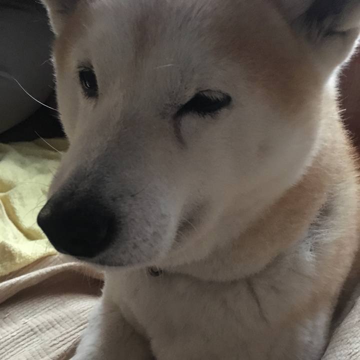 4906ccba 7f1f 488b a0a1 971fbe30745b 1517640855178