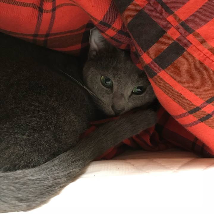 4906e117 5631 4e08 9bfd cb179e0bfc80 1508318261636