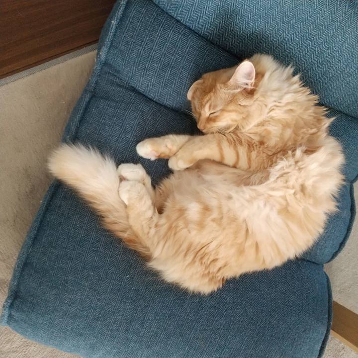 4907098d 5dbe 4121 9eb3 bd622569964d 1632113634246