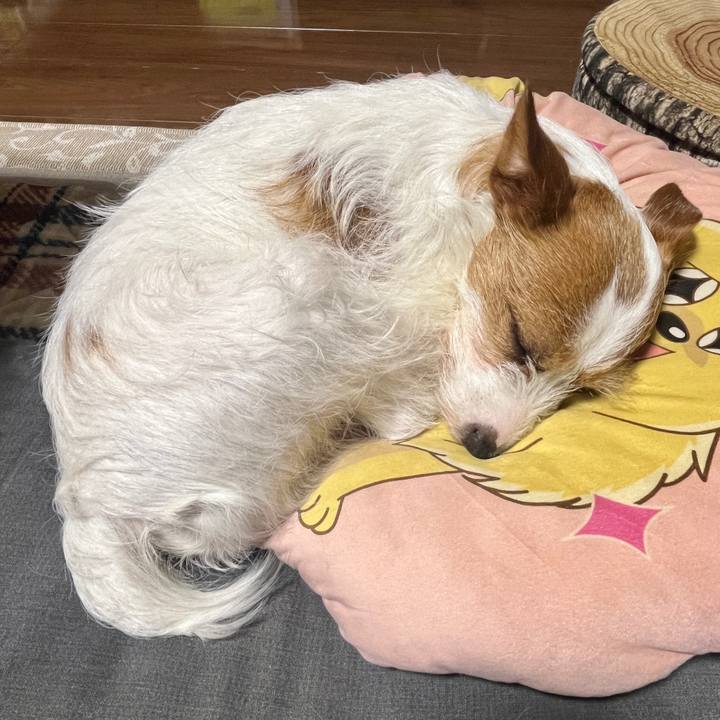 49074463 594e 4fda 8863 dd09f4f7f2c5 1772287125675