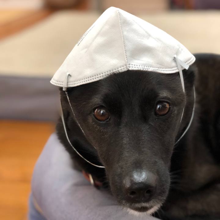 49076c33 dba8 47cc 9a77 304b1a8d4704 1619856724701