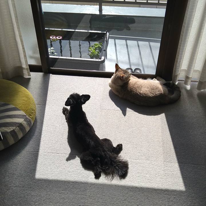 4907ae4d 4ee3 4ad0 afd9 3ede26f0ce0e 1620021869325