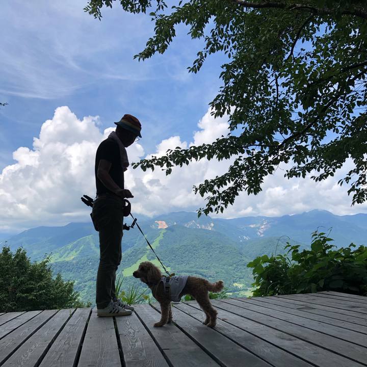 4907c917 89e6 4022 aacd 4fa81e2b61e9 1772323955224