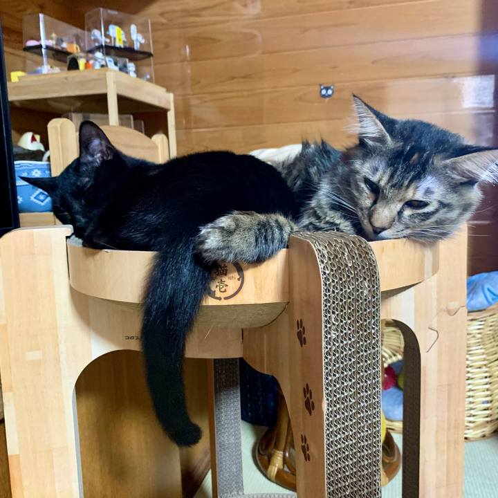 4907edd1 3399 4b82 b369 b2f894e430f2 1651146220512