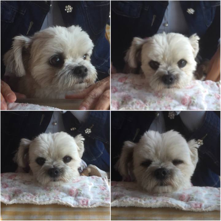 49080e7f 689a 46bb 9dff 319e63538141 1555141997527