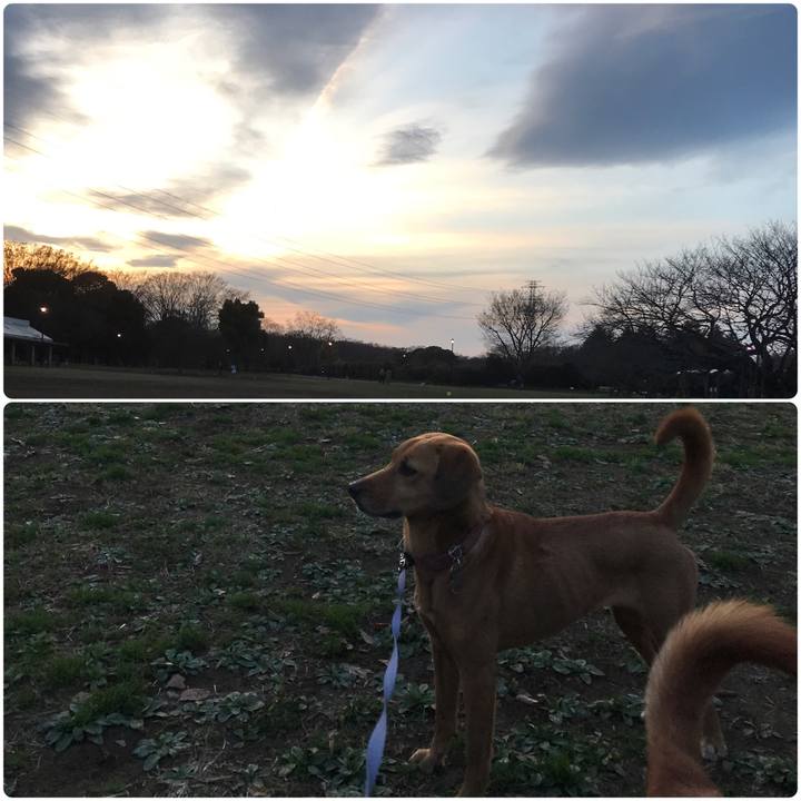 4908226b b34f 436f 931b 7b147f5556aa 1521380818409