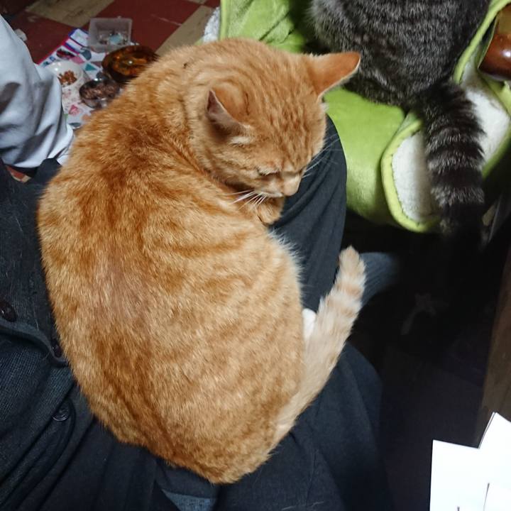 490834e3 31ef 4d66 ad8e 2486e2d85891 1587459432259