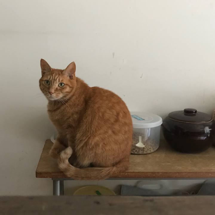 490856e9 867e 4817 9eda 500ac895de43 1526979903612